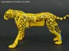 War for Cybertron: Kingdom Cheetor - Image #40 of 153