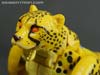 War for Cybertron: Kingdom Cheetor - Image #48 of 153