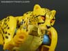 War for Cybertron: Kingdom Cheetor - Image #54 of 153