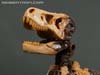 War for Cybertron: Kingdom Paleotrex - Image #43 of 173