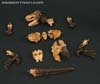War for Cybertron: Kingdom Paleotrex - Image #58 of 173