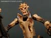 War for Cybertron: Kingdom Paleotrex - Image #105 of 173