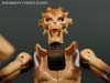 War for Cybertron: Kingdom Paleotrex - Image #111 of 173
