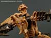 War for Cybertron: Kingdom Paleotrex - Image #130 of 173