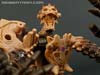 War for Cybertron: Kingdom Paleotrex - Image #133 of 173