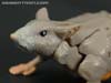 War for Cybertron: Kingdom Rattrap - Image #31 of 131