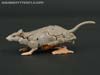 War for Cybertron: Kingdom Rattrap - Image #39 of 131
