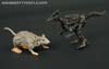 War for Cybertron: Kingdom Rattrap - Image #43 of 131