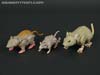 War for Cybertron: Kingdom Rattrap - Image #46 of 131