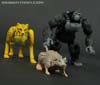War for Cybertron: Kingdom Rattrap - Image #61 of 131