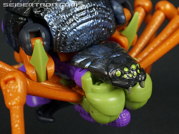 Transformers War for Cybertron: Trilogy Blackarachnia (Image #26 of 185)