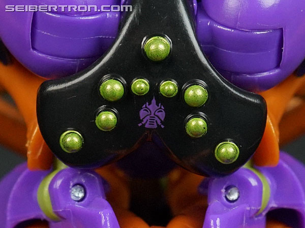 Transformers War for Cybertron: Trilogy Blackarachnia (Image #33 of 185)