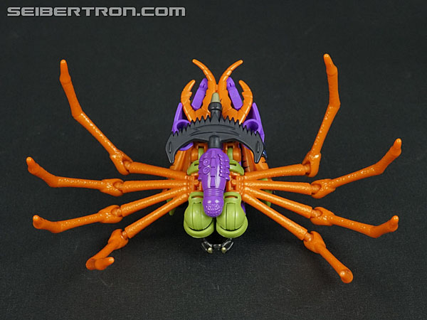 Transformers War for Cybertron: Trilogy Blackarachnia (Image #43 of 185)