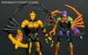 War for Cybertron: Trilogy Blackarachnia - Image #159 of 185