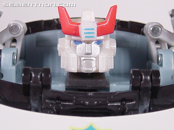 Prowl