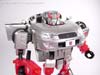 Alternators Streak (Silverstreak)  - Image #38 of 90