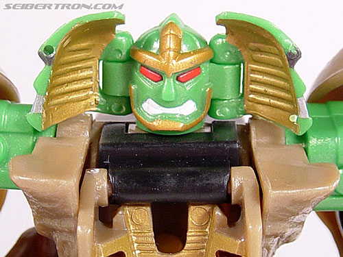 Rhinox