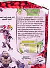 Beast Wars (10th Anniversary) Optimus Primal - Image #10 of 127