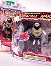 Beast Wars (10th Anniversary) Optimus Primal - Image #19 of 127