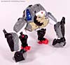 Beast Wars (10th Anniversary) Optimus Primal - Image #22 of 127
