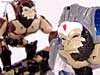 Beast Wars (10th Anniversary) Optimus Primal - Image #50 of 127