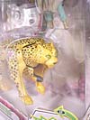Beast Wars (10th Anniversary) Cheetor (Reissue) - Image #11 of 97