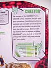 Beast Wars (10th Anniversary) Cheetor (Reissue) - Image #16 of 97