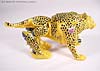 Beast Wars (10th Anniversary) Cheetor (Reissue) - Image #34 of 97
