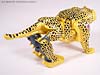 Beast Wars (10th Anniversary) Cheetor (Reissue) - Image #36 of 97