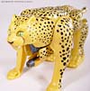 Beast Wars (10th Anniversary) Cheetor (Reissue) - Image #45 of 97