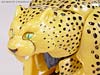 Beast Wars (10th Anniversary) Cheetor (Reissue) - Image #46 of 97