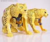 Beast Wars (10th Anniversary) Cheetor (Reissue) - Image #49 of 97
