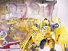 Beast Wars (10th Anniversary) Cheetor (Reissue) - Image #57 of 97