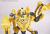 Beast Wars (10th Anniversary) Cheetor (Reissue) - Image #78 of 97
