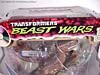 Beast Wars (10th Anniversary) Dinobot (Reissue) - Image #5 of 88