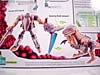 Beast Wars (10th Anniversary) Dinobot (Reissue) - Image #14 of 88