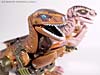 Beast Wars (10th Anniversary) Dinobot (Reissue) - Image #38 of 88
