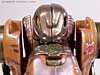 Beast Wars (10th Anniversary) Dinobot (Reissue) - Image #69 of 88