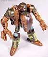 Beast Wars (10th Anniversary) Dinobot (Reissue) - Image #71 of 88