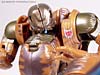 Beast Wars (10th Anniversary) Dinobot (Reissue) - Image #74 of 88