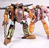 Beast Wars (10th Anniversary) Dinobot (Reissue) - Image #79 of 88
