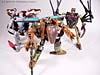 Beast Wars (10th Anniversary) Dinobot (Reissue) - Image #86 of 88