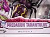Beast Wars (10th Anniversary) Tarantulas (Reissue) - Image #3 of 84