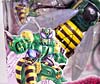 Beast Wars (10th Anniversary) Waspinator (Reissue) - Image #5 of 96