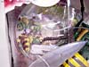 Beast Wars (10th Anniversary) Waspinator (Reissue) - Image #8 of 96