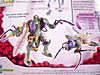 Beast Wars (10th Anniversary) Waspinator (Reissue) - Image #13 of 96