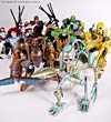 Beast Wars (10th Anniversary) Transmutate - Image #99 of 116