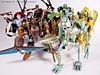 Beast Wars (10th Anniversary) Transmutate - Image #102 of 116
