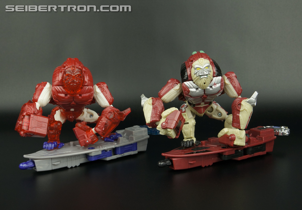 Transformers Convention &amp; Club Exclusives Knight Apelinq (Image #32 of 183)