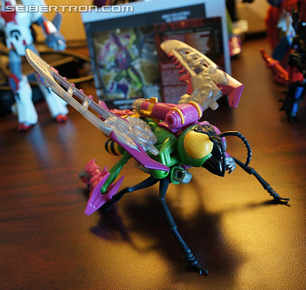 Transformers News: New Galleries and Video: Club Subscription Service Thrustinator and Rewind